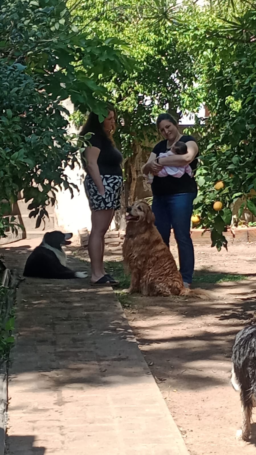 WhatsApp Image 2024-10-05 at 12.54.45.jpeg